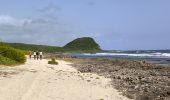 Tocht Stappen Saint-François - Guadeloupe - Anse à la Baie à Porte d'Enfer - Photo 12