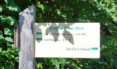 Trail Walking Sixt-Fer-à-Cheval - Le Lac de Gers - Photo 6