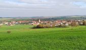 Percorso Marcia Volmunster - sentier chapelle St Joseph  - Photo 1