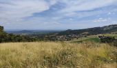 Randonnée Marche Marcoux - Ballade au volcan Montaubourg  - Photo 8