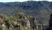 Trail Walking Le Rozier - Les corniches des gorges de la Jonte et du Tarn - Photo 4