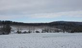 Tour Wandern Havelange - rando nettine 9/02/2021 - Photo 2