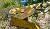 Tocht Stappen Authon - AUTHON. GROTTE. COL DE L AIGUILLE O L - Photo 2