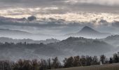 Tour Zu Fuß Baiso - Visignolo - La Baragalle - Il Borgo - Casalecchio - Visignolo - Photo 3