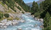 Tour Zu Fuß Samedan - Roseg - Chamanna da Tschierva - Photo 4