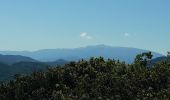 Randonnée Marche Nyons - Montagne de Vaux - Photo 16