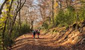 Percorso Mountainbike Montfort - Montfort/Puimichel par les collines  - Photo 1