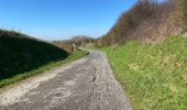 Trail Walking Quévy - Givry sud 17 km - Photo 12