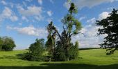 Tour Zu Fuß Gerswalde - Stiernseerundweg - Photo 8