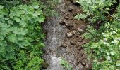 Trail Walking Chambon-sur-Lac - cascades perouse et biche - Photo 3