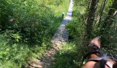 Trail Horseback riding Beaufort - Chez nous à chez Bertrand  - Photo 6