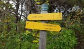 Trail Walking Ubaye-Serre-Ponçon - rechmardi - Photo 1