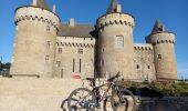 Percorso Mountainbike Saint-Armel - Tour de la presqu'île de Rhuys - Photo 5