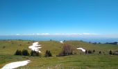 Excursión Senderismo Val-de-Travers - Creux du Van 1 mai 2019 CKCC - Photo 2