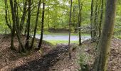 Trail Walking Vivières - en Forêt de Retz_88_autour du Regard Saint-Hubert et du Rond de la Reine - Photo 13