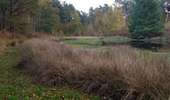 Trail Walking Saint-Ghislain - bois de  Baudour  - Photo 6