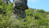 Tocht Stappen Florac Trois Rivières - Panoramique des couronnes - Photo 10