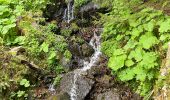 Percorso Marcia Besse-et-Saint-Anastaise - Tour du Lac Pavin - Photo 8