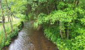 Trail Walking Gedinne - Vencimont 050624 - Photo 11