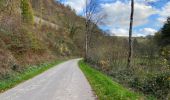 Trail Walking Clervaux - Clervaux Abbaye et Mecher 10 km boucle - Photo 6