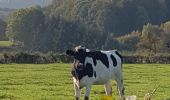 Tour Wandern Baelen - Membach - Limbourg - Barrage de la Gileppe - Photo 3