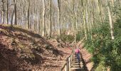 Tour Wandern Gooik - Oetingen - Photo 3