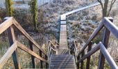 Tocht Stappen Borgloon - Promenade vers l'Aeneas Wilder  - Photo 10