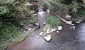 Tour Wandern Sainte-Suzanne-et-Chammes - Sainte-Suzanne - Vers la table du Diable 18 km - Photo 6