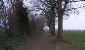 Trail Walking Le Mesnil-Eudes - Le Mesnil-Eudes - Photo 10