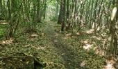 Trail Walking Naveil - Circuit au lieu-dit Bordebeure Marcilly-en-Beauce - Photo 12