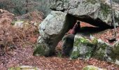 Tocht Stappen Fontainebleau - maison forestière Bois le roi 1er décembre 2023 - Photo 1