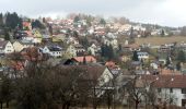 Excursión A pie Schriesheim - Rundwanderweg Wilhelmsfeld 12: Leichtersberg-Weg - Photo 1