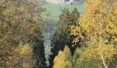 Trail Walking Trois-Ponts - brume 2 - Photo 11