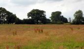 Excursión A pie North Hertfordshire - Weston Golden Jubilee Walk - Photo 1