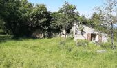 Trail Walking Estoublon - TREVANS,  Chateau de Trevans,  les Beluguettes. Cotes Chaudes , Belvédère des  Gorges  , Turquet ,o quet  - Photo 10