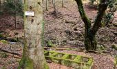 Trail Walking Soultz-Haut-Rhin - Rando avec 0mar et Mouloud..18/02/2023 - Photo 1