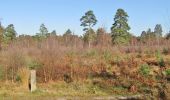 Trail On foot Waverley - Heathland Hike - Photo 2