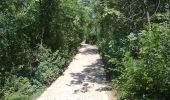 Trail On foot Bovezzo - Sentiero dei marroni - Photo 5