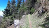 Randonnée Marche La Combe-de-Lancey - Col du Pré du Molard - Photo 15