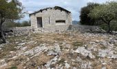 Excursión Senderismo Castillon - Castillon : Mt Ours - Photo 11