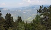 Randonnée Marche Valdrôme - STATION DE VALDRÔME - MONTAGNE DE L' AUP - Photo 13