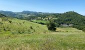 Trail Walking Mornans - Serre Antoine forêt de Saou  - Photo 2