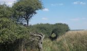 Tocht Te voet Balgstädt - Rundweg Hirschroda - Photo 4