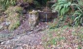 Tocht Stappen Laruns - la fontaine du curé  - Photo 2