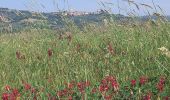 Tocht Stappen San Quirico d'Orcia - San Quirico /  Gallina - Photo 5