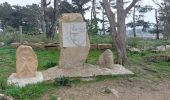 Trail Walking Pleumeur-Bodou - GR_34_EC_31_Pleumer-Bodou_Trebeurden_20241102 - Photo 14