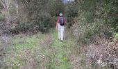 Tocht Stappen Maçanet de Cabrenys - Lac autre rive par la piste - Photo 10