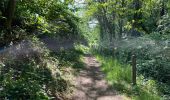 Tocht Stappen Eigenbrakel - BE-Braine-l'Alleud - BSI - Promenade du Seigneur Isaac - Photo 8