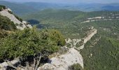 Trail Walking La Farlède - De La farlède vers le sommet du Mont Coudon, puis retour par le petit Coudon - Photo 11