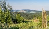 Trail On foot Horn-Bad Meinberg - Rundwanderweg A5 [Horn] - Photo 4